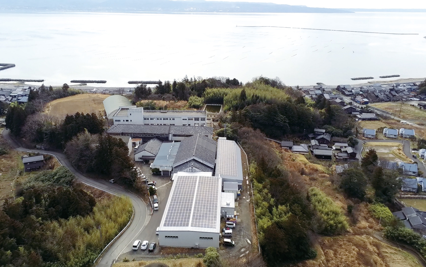 工場の屋根に太陽光パネルを設置。発電した電力は工場内で自家消費。