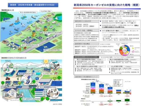 新潟県2050年カーボンゼロの実現に向けた戦略（概要）